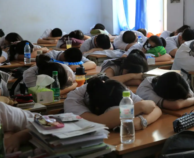 不同学段的特色设计出既契合学生认知又激起其爱好的教育内容